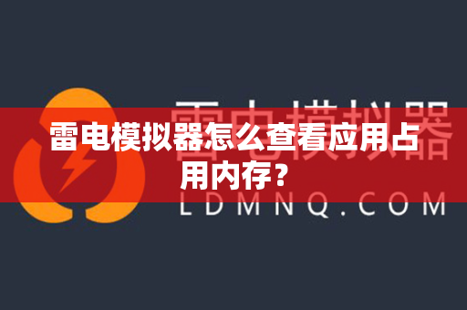 雷电模拟器怎么查看应用占用内存？